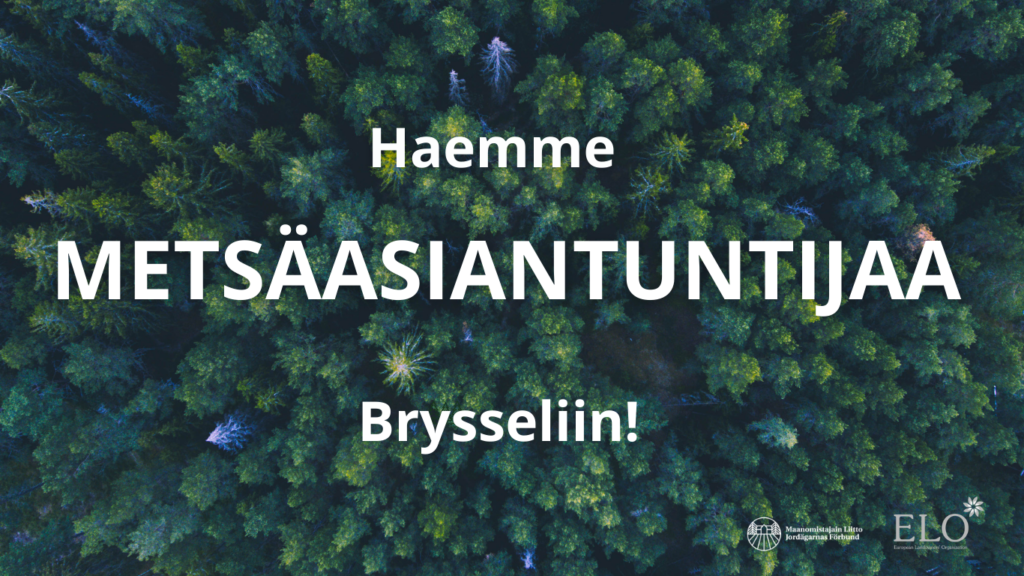 Mainoskuva metsäasiantuntijan tehtävälle